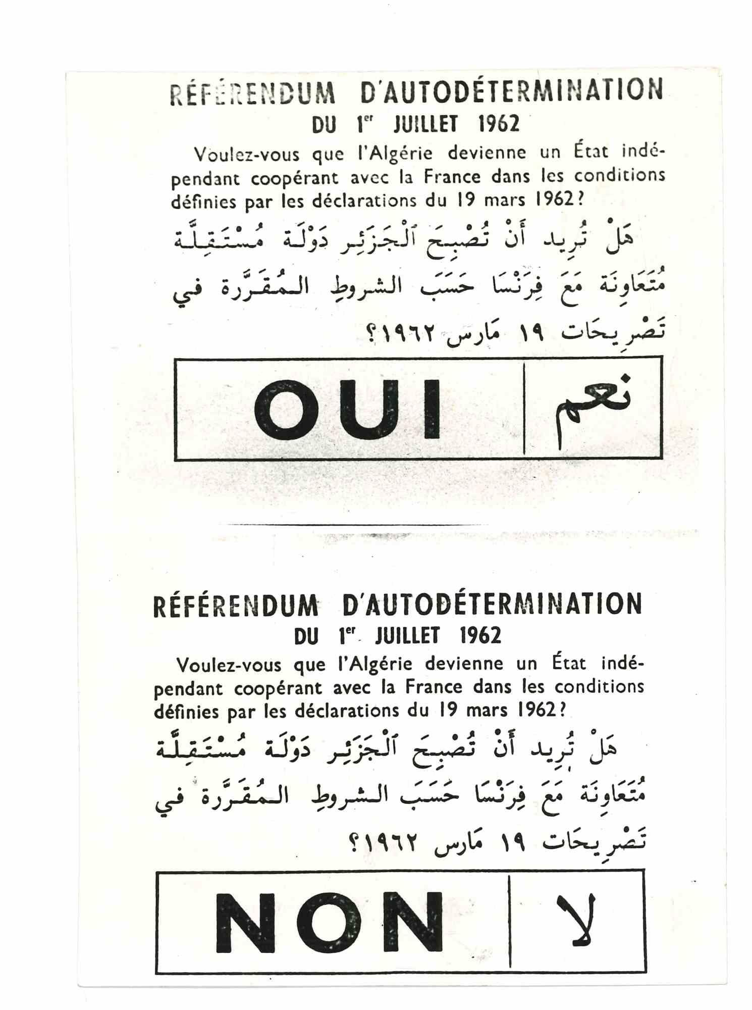 Unknown Figurative Photograph - Referendum for Algeria - 1961