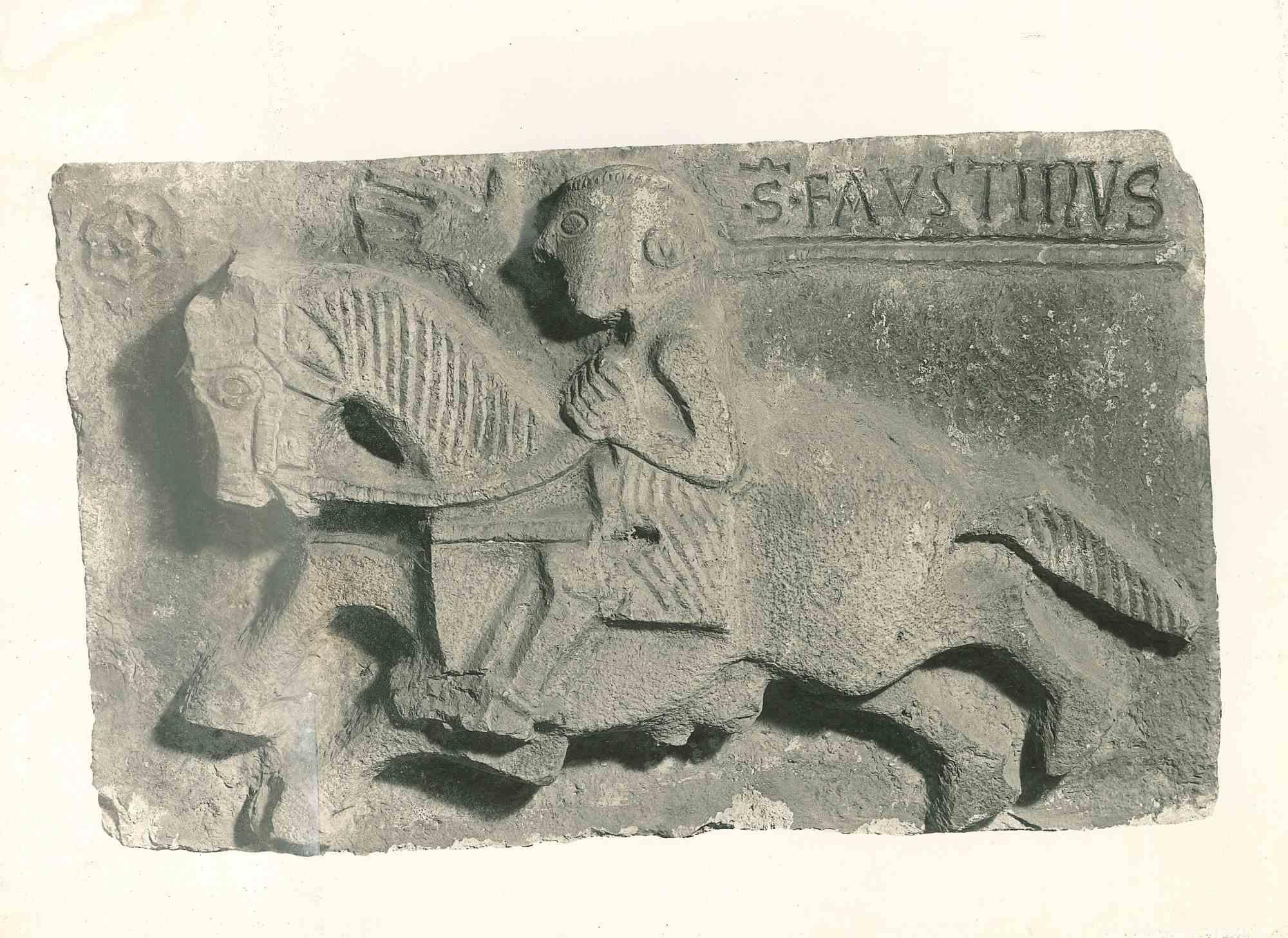 Rider - Vintage Photo - Early 20th century
