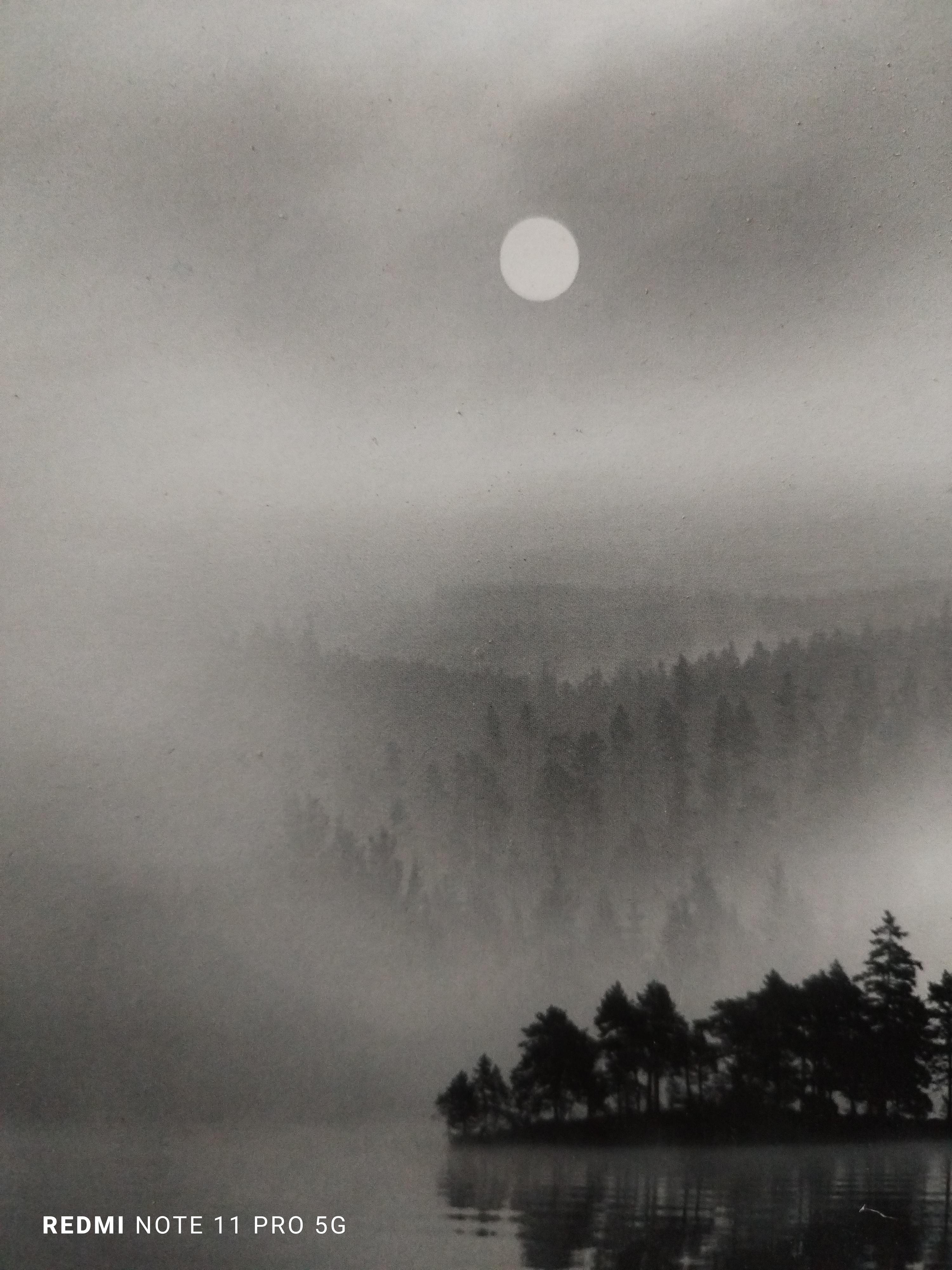 REFLEXIONES - Fotografía en blanco y negro , Bjorn Wennerwald - Photograph de Unknown