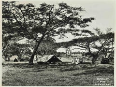 Vivre en safari avec terre de safari - Photographie vintage - Début du 20e siècle