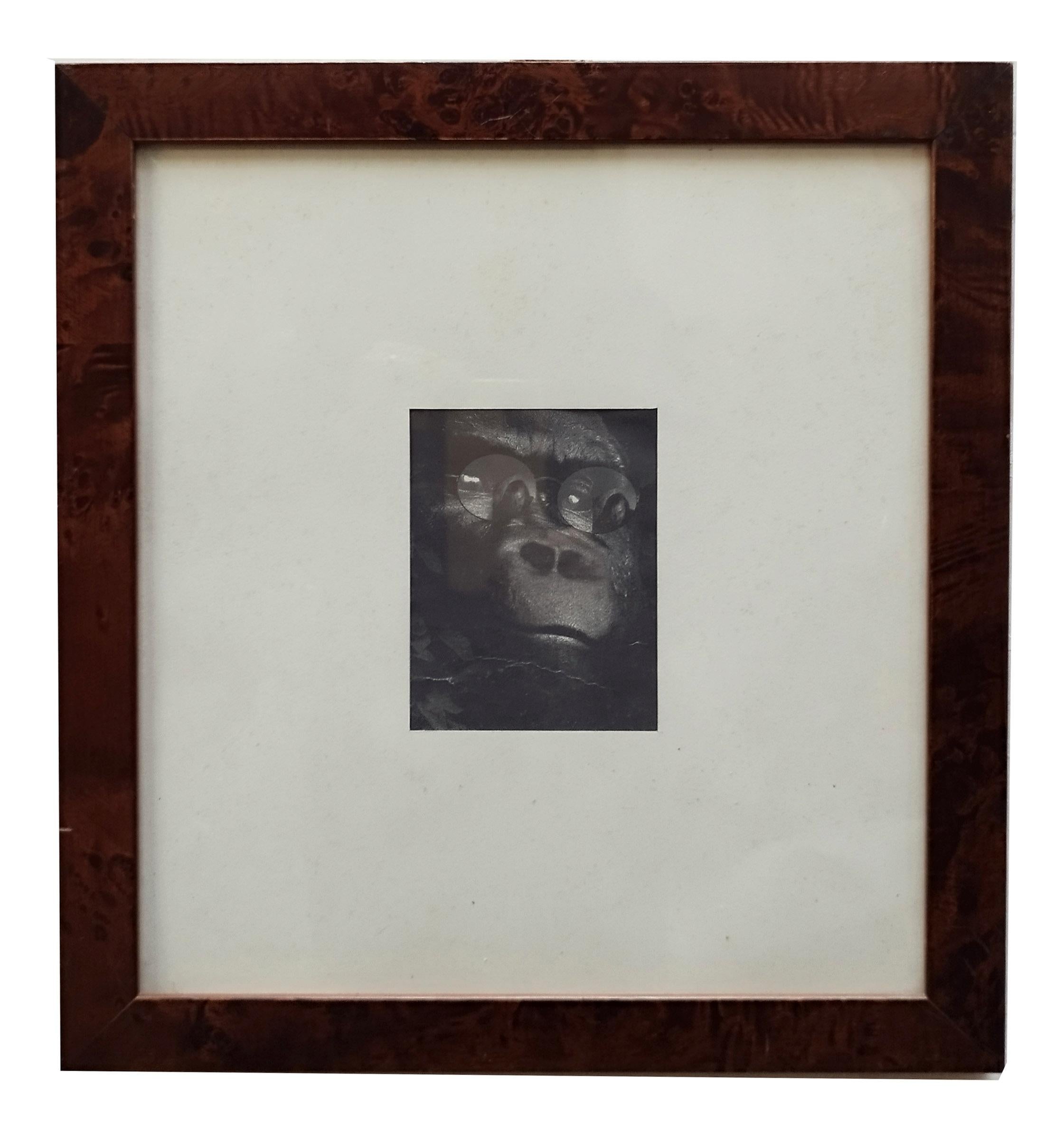 Small Photograph on photographic paper titled 