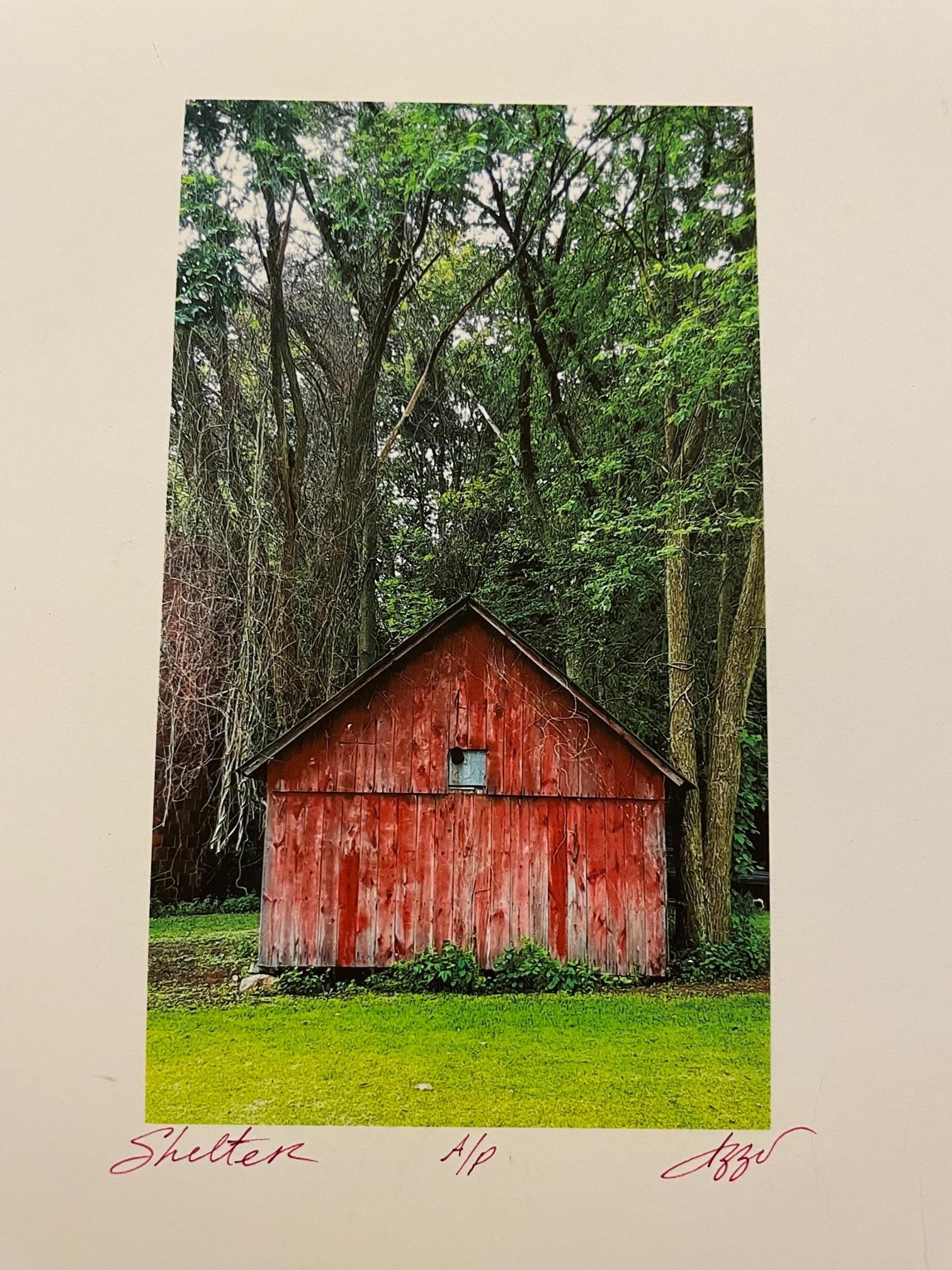 Unknown Color Photograph - "Shelter"  photograph by Michigan artist Patricia Izzo