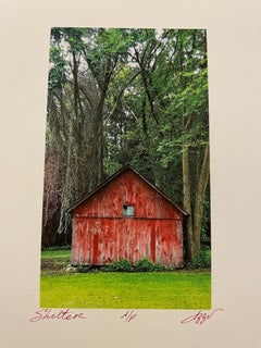"Shelter"  photograph by Michigan artist Patricia Izzo