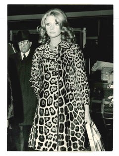 Silva Koscina - Vintage Photograph - 1971