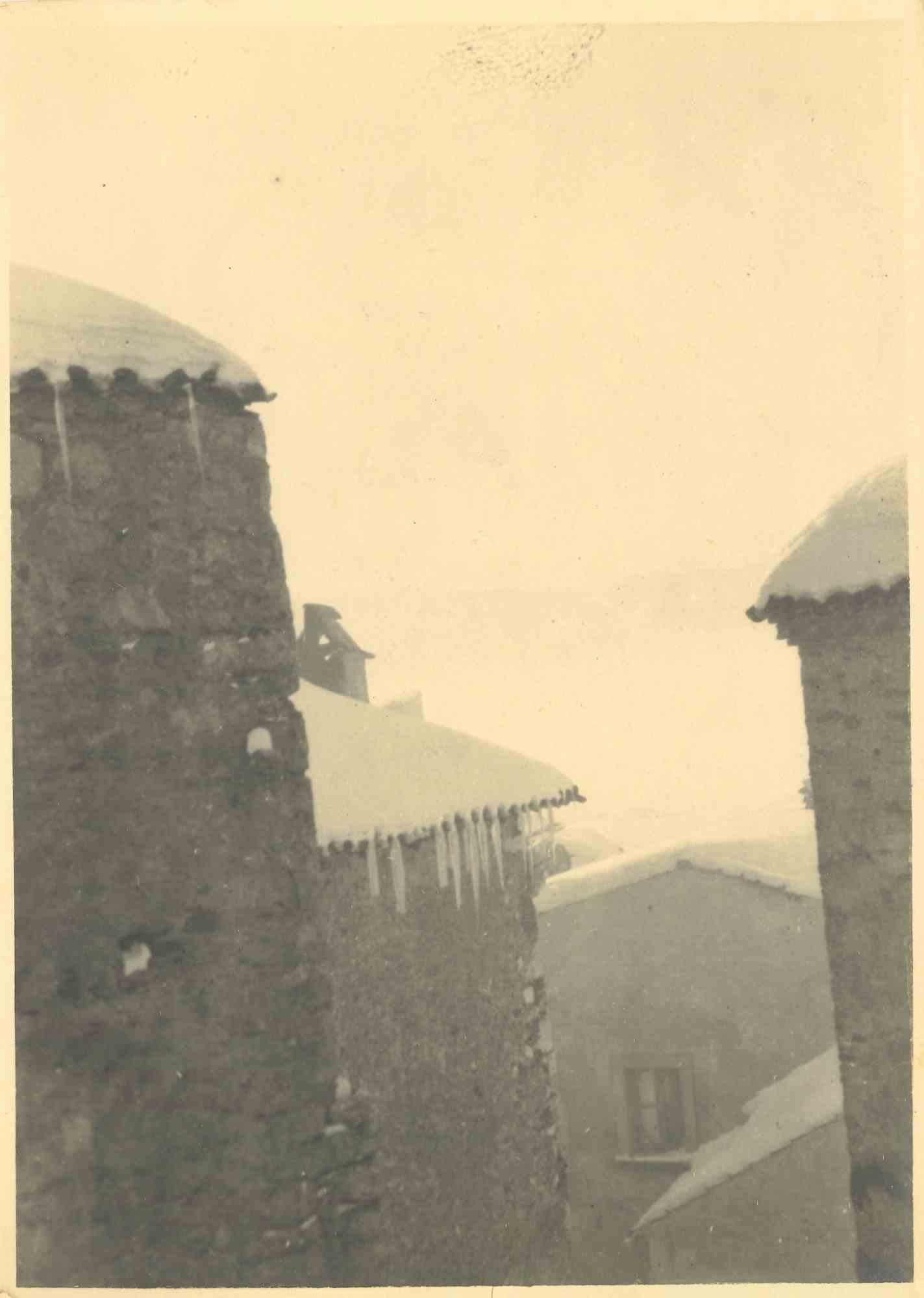 Coqs neigeux - Photographie Vintage - Années 1940