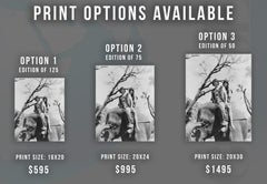 Sonny and Cher Riding an Elephant Fine Art Print