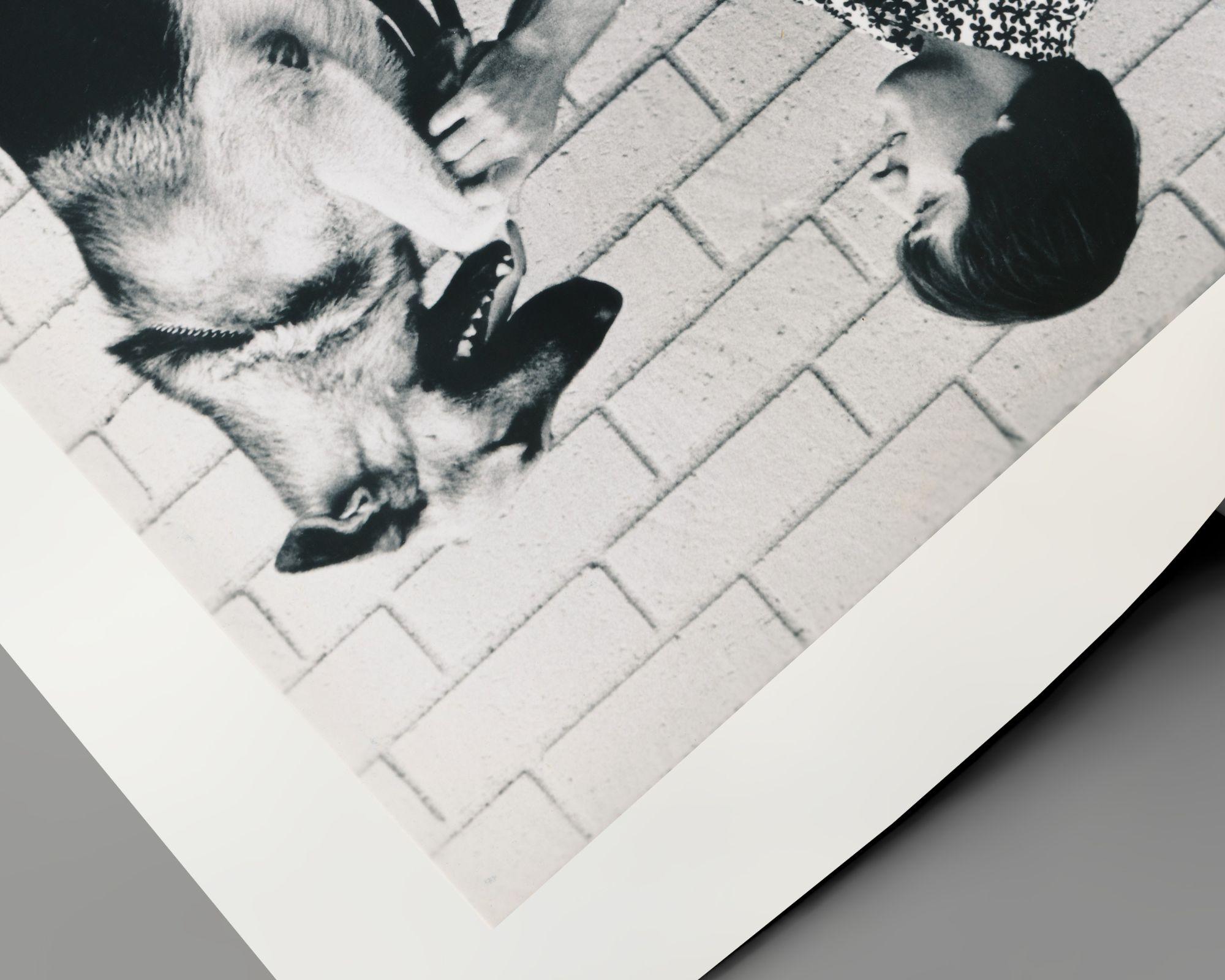 Sonny Bono avec son chien - Contemporain Photograph par Unknown