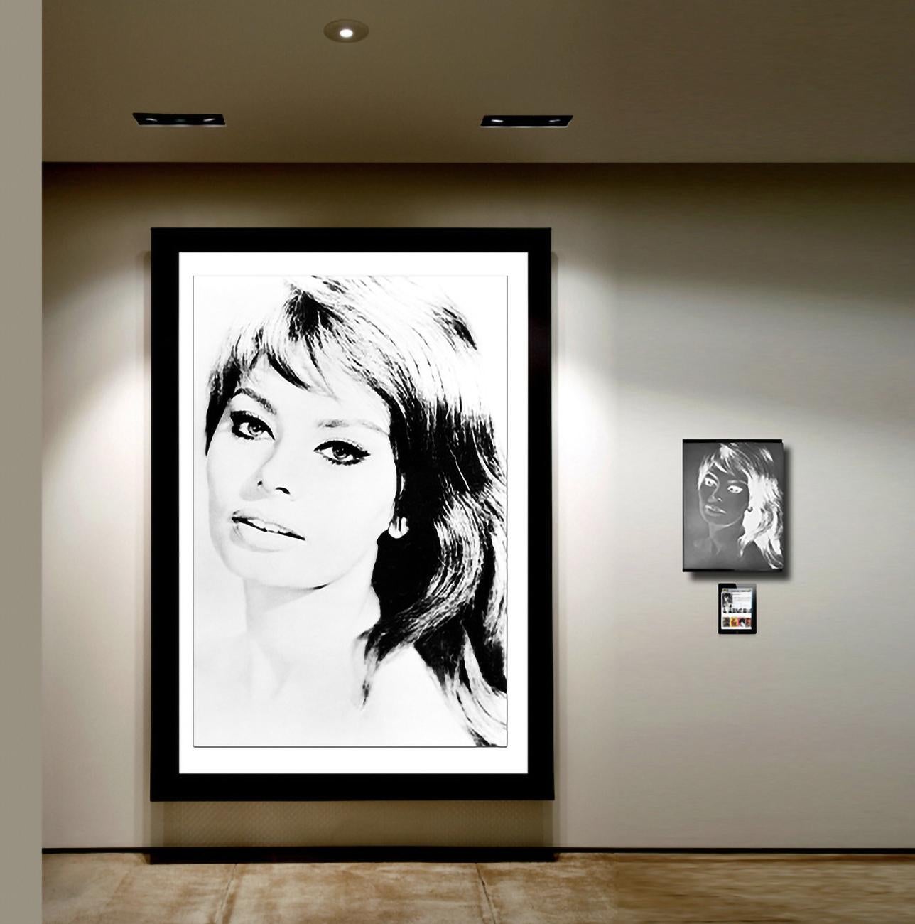Sophia Loren - Photographie et négatif grand format vintage