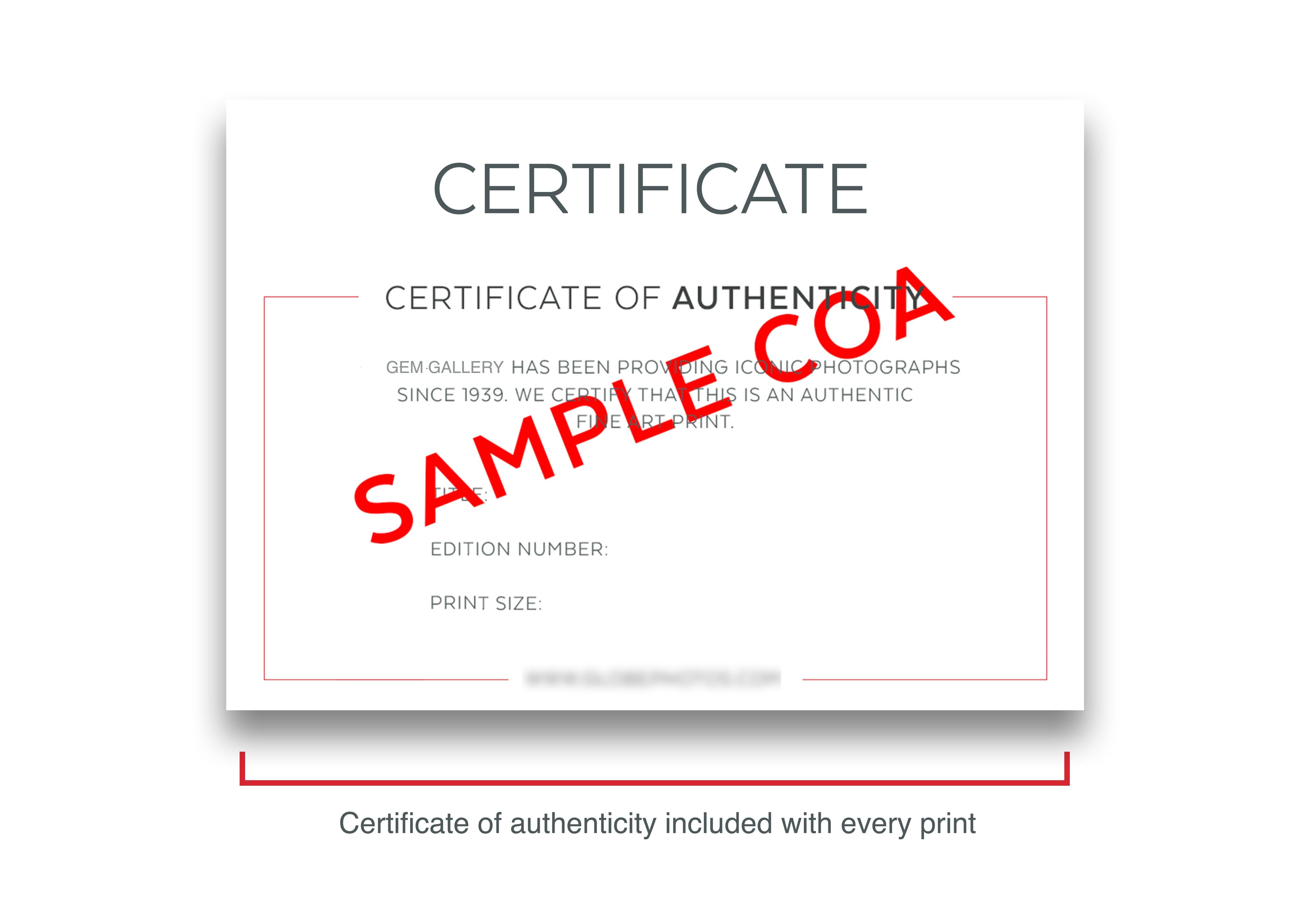 Pouring Champagne 24