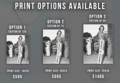 Sophia Loren with Sign Fine Art Print