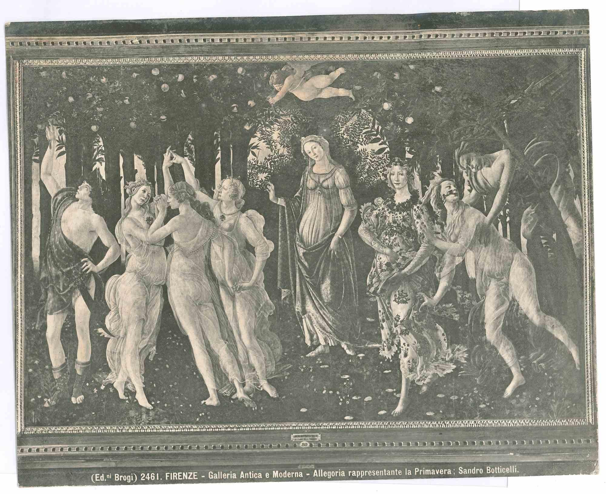 Figurative Photograph de Unknown - Galería Primavera de Florencia - Foto de época - Principios del siglo XX