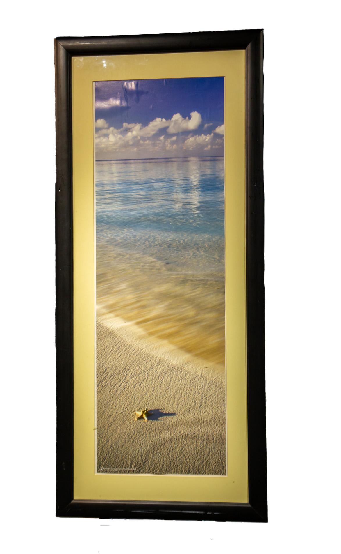 Custom frame, housing a poster of ocean and seashore.
27911-LU2595214778782