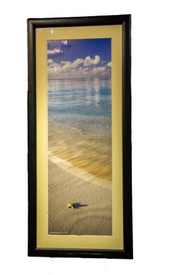 Star Fish on the Beach