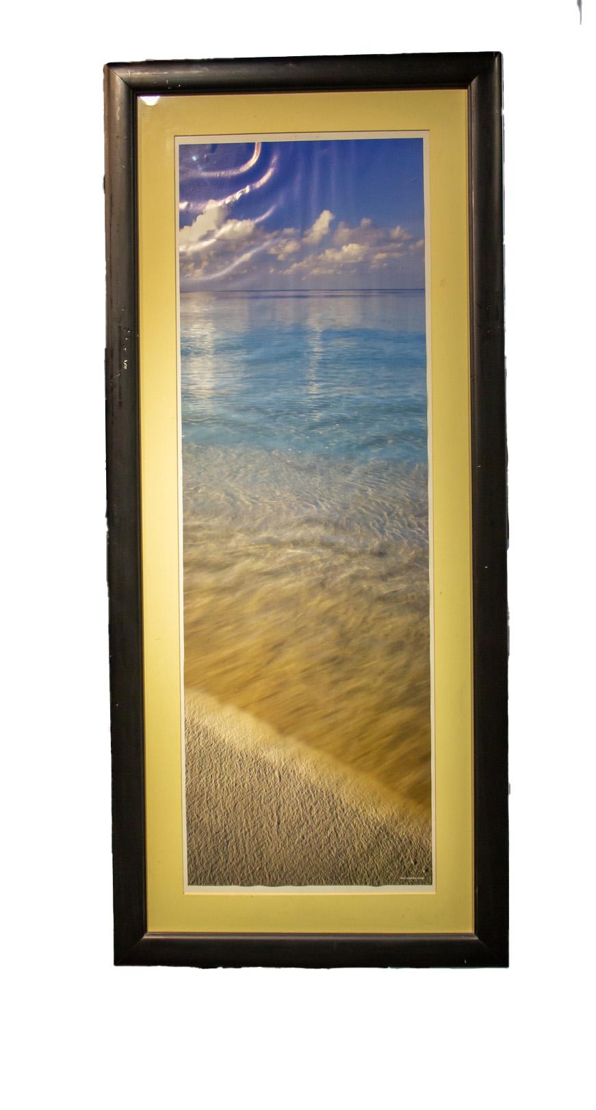 Star Fish on the Beach For Sale 2