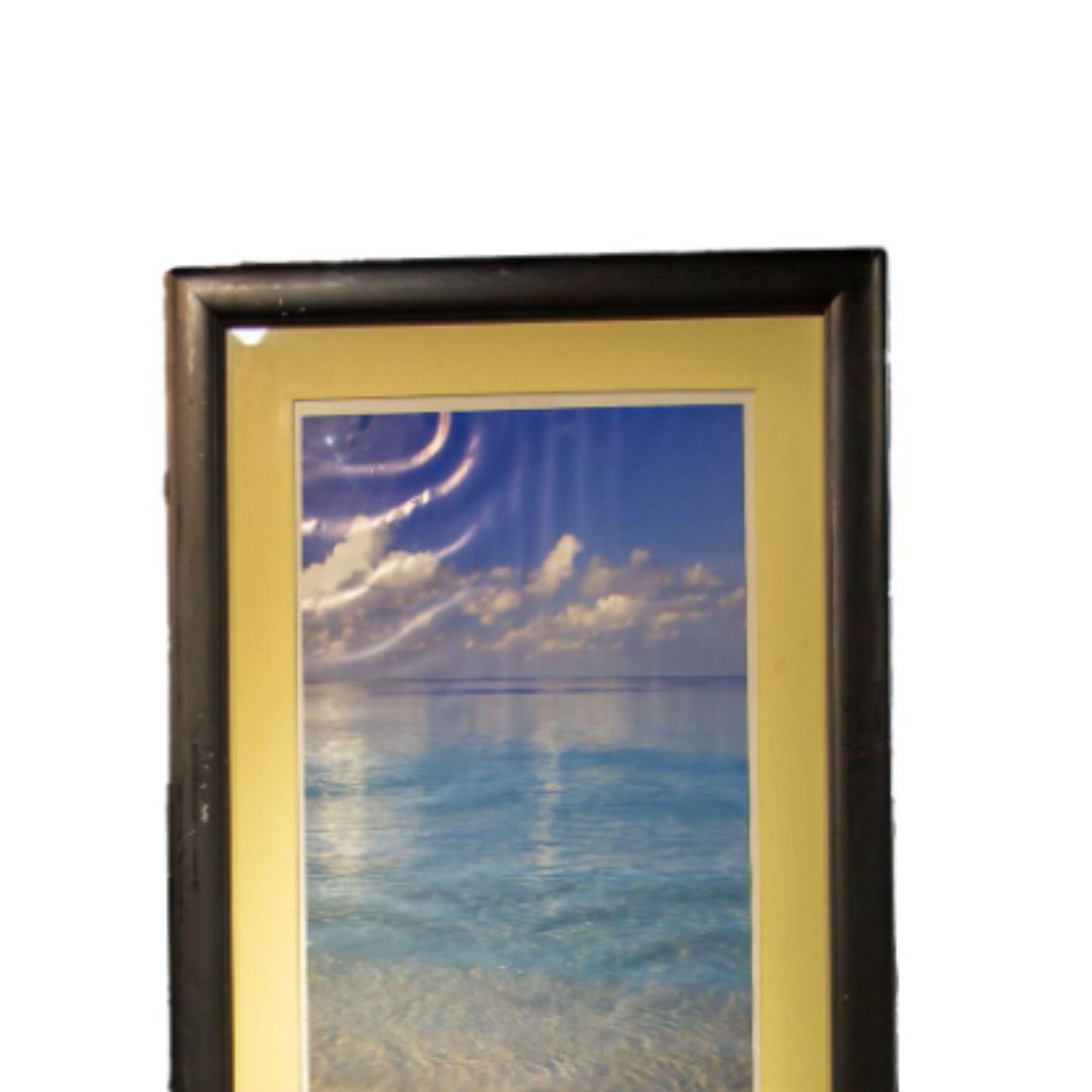 Star Fish on the Beach For Sale 4