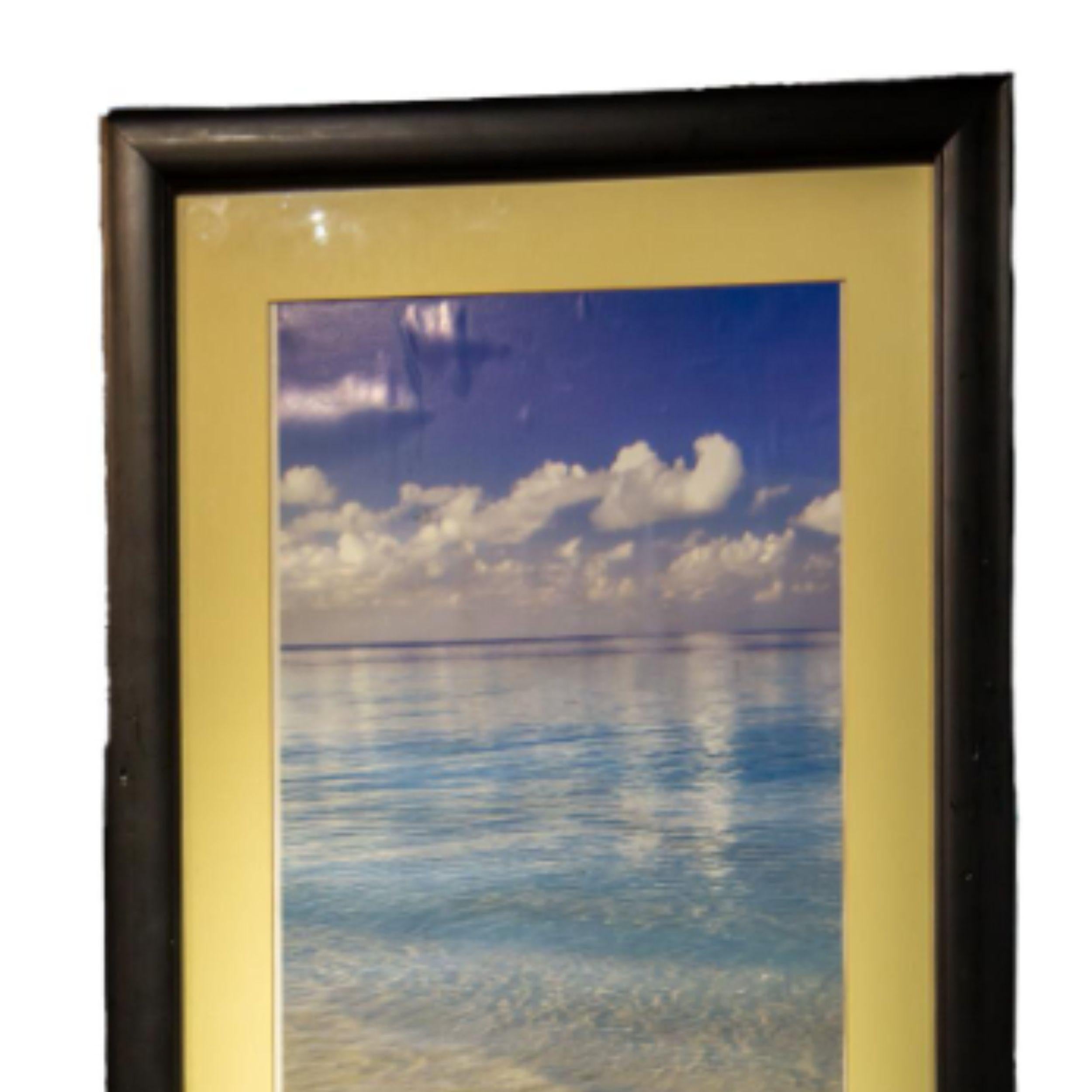 Star Fish on the Beach For Sale 6