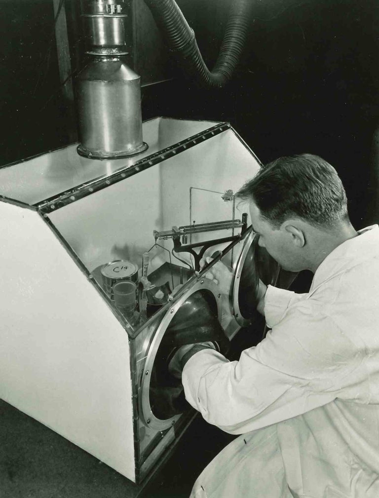 Unknown Strangest Garden in The world Vintage Photograph Mid 20th