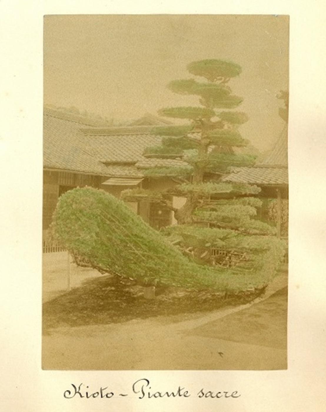 Templi in Giappone - Stampa antica all'albumina 1870/1890 - Photograph di Unknown
