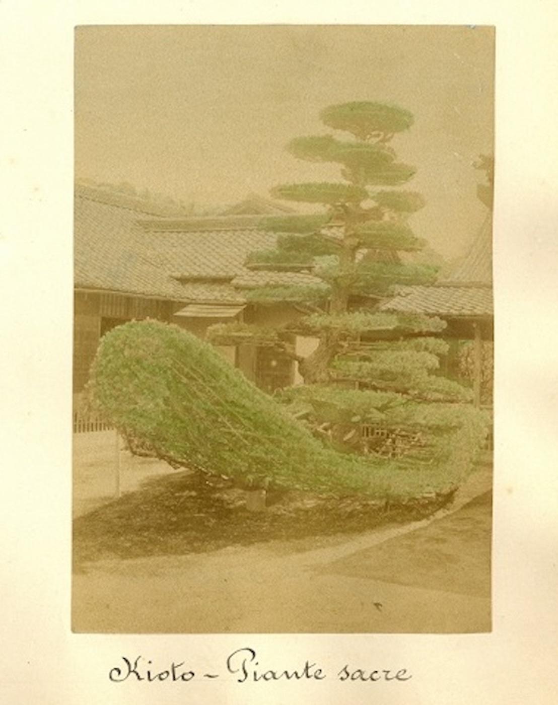 Temples in Japan - Ancient Albumen Print 1870/1890 - Photograph by Unknown