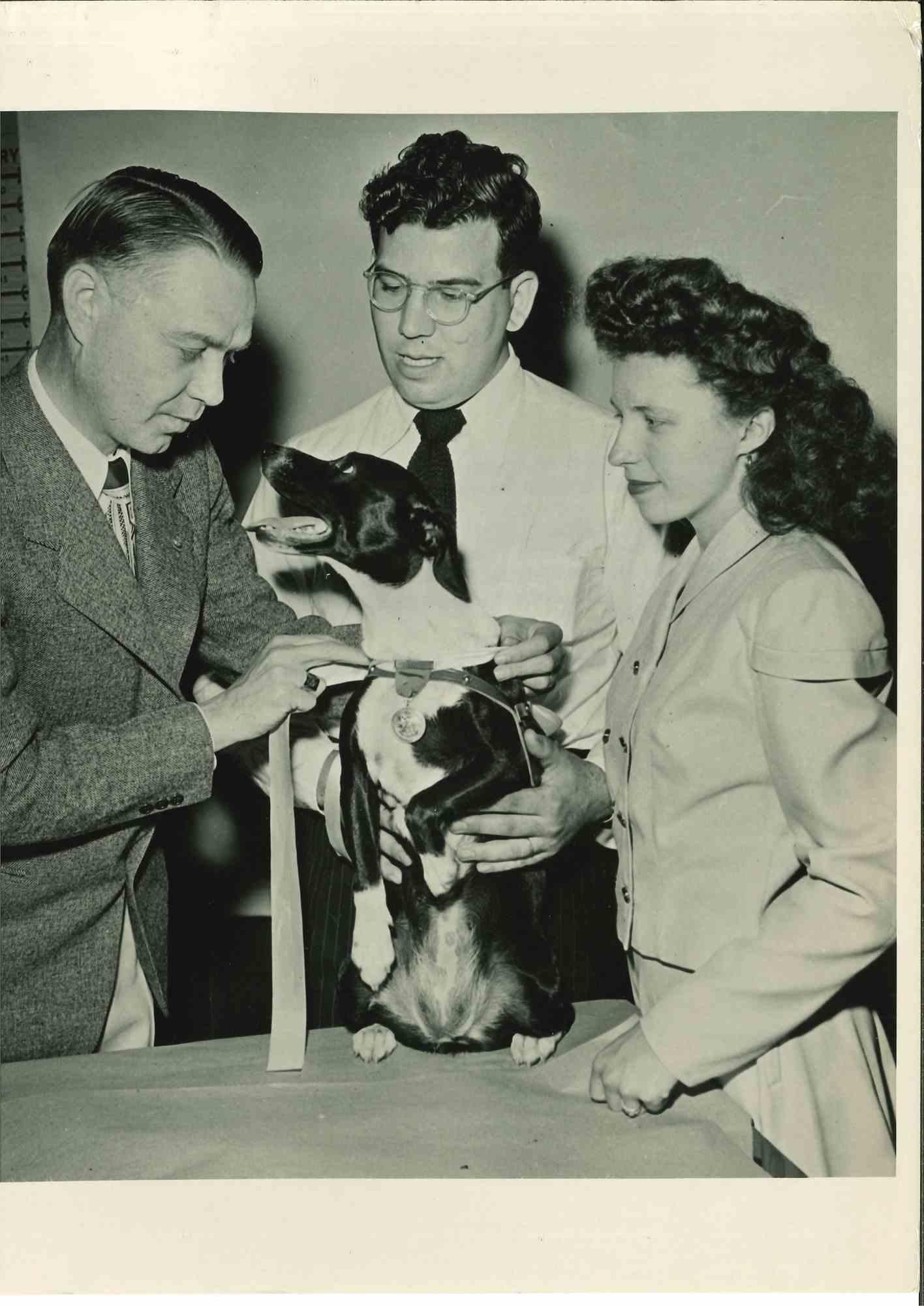 Unknown Figurative Photograph - The American Human Society's Work With Animals-Vintage Photograph - 20th Century