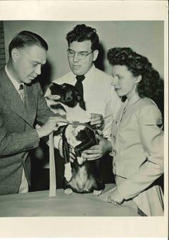 The American Human Society's Work With Animals-Vintage Photograph - 20th Century