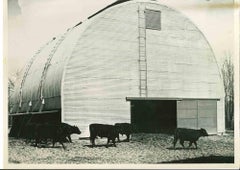 The Barn - American Vintage Photograph - Mid 20th Century