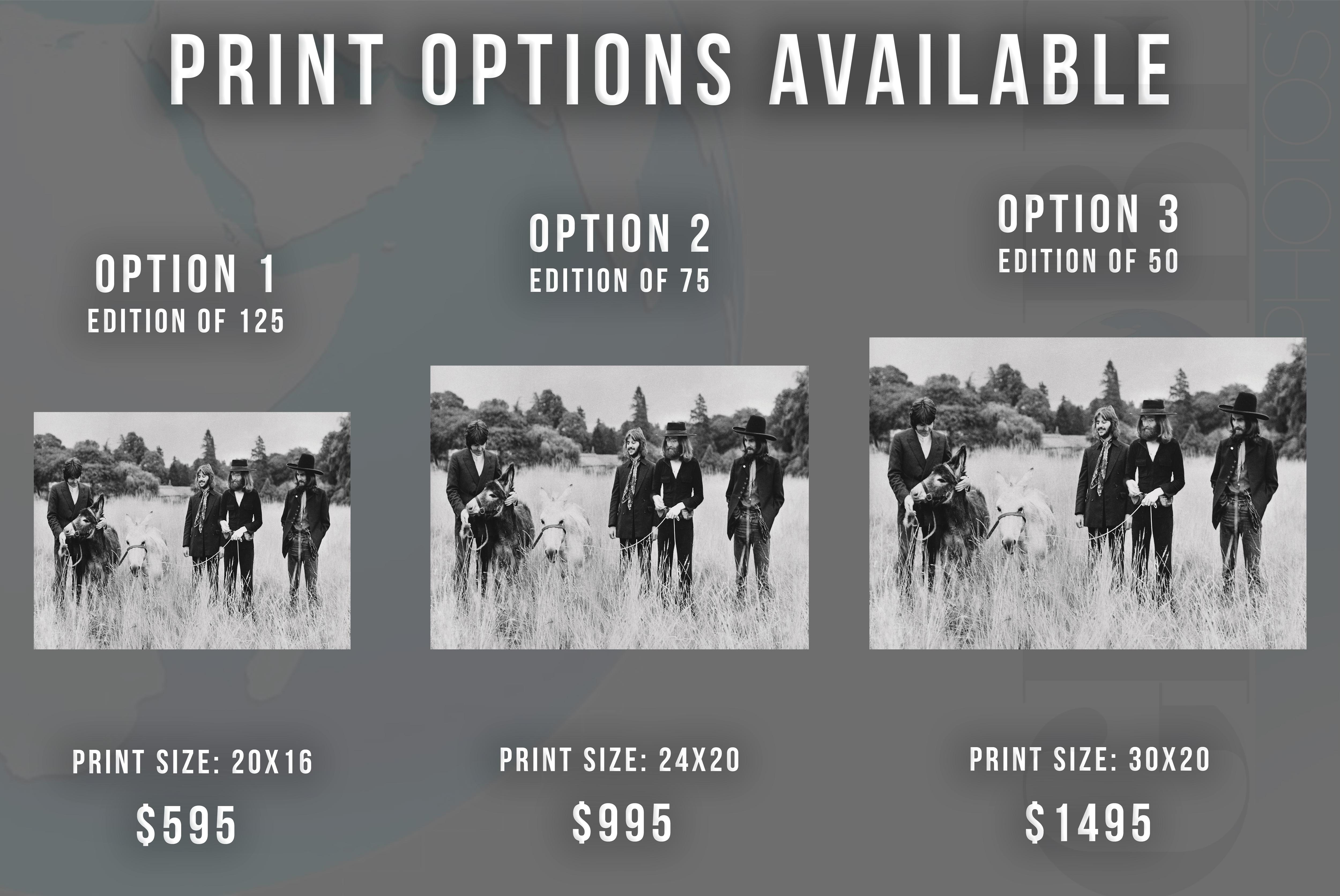 The Beatles Candid with Donkeys Fine Art Print - Photograph by Unknown