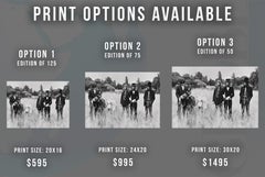 The Beatles Candid with Donkeys Fine Art Print