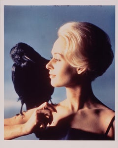 The Birds (1963) – Original Lobby Card, Alfred Hitchcock