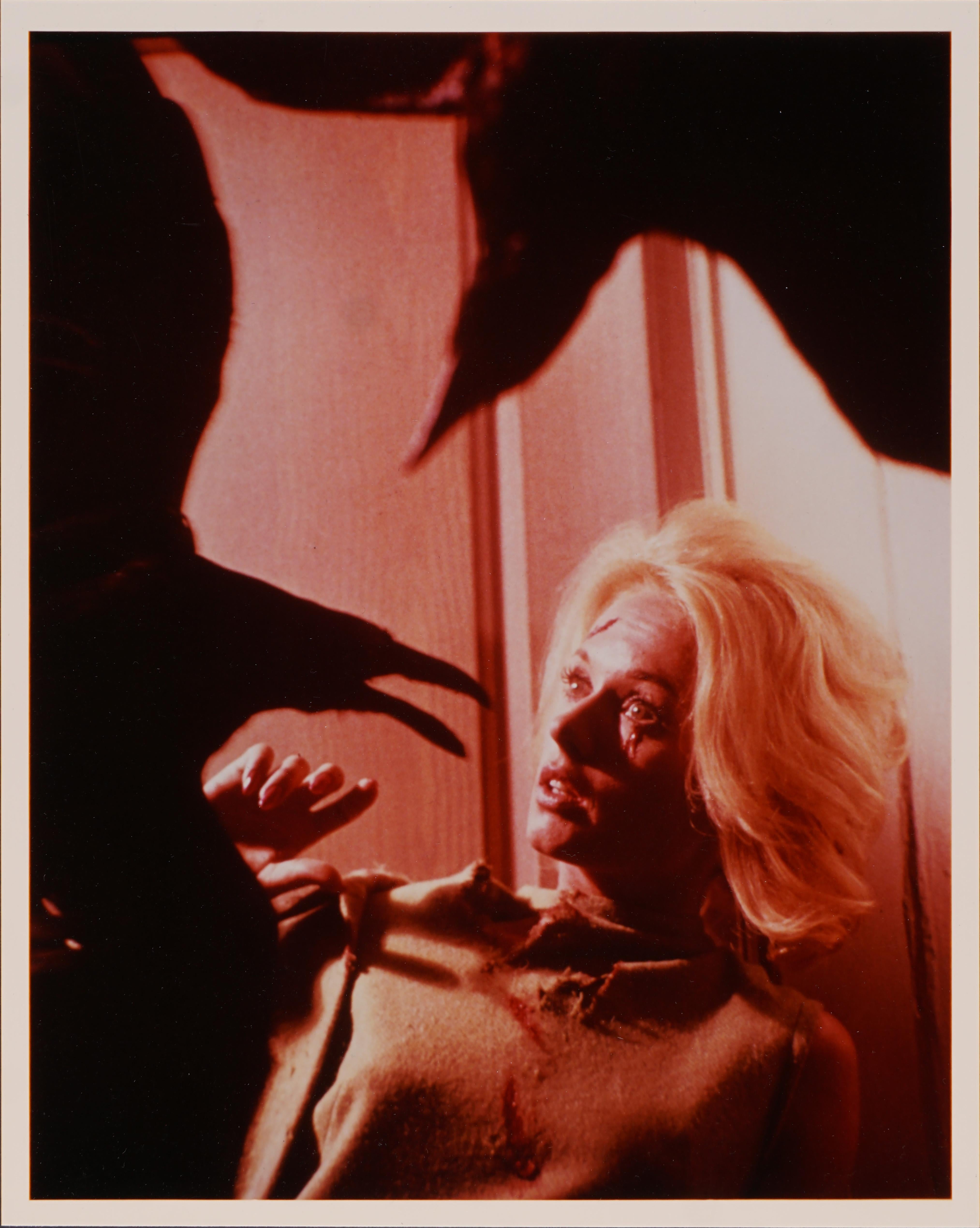 Color Photograph di Unknown - Gli uccelli (1963) - Lobby Card originale, Alfred Hitchcock, Tippi Hedren