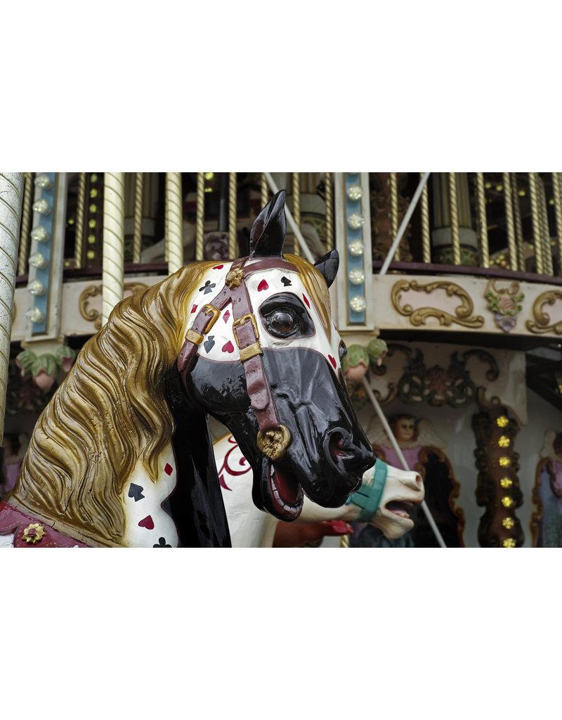 Unknown Color Photograph - The Carousel En Fleur - Plate II
