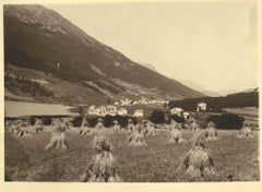 The Countryside Landscape - Vintage Photograph - Mid 20th Century