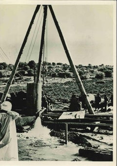 Le désert peut être récupéré - Photographie vintage - Milieu du XXe siècle