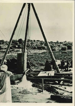 The Desert Can Be Reclaimed - Vintage Photograph - Mid 20th Century