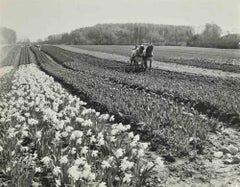 Il campo - Fotografia d'epoca - Anni '60