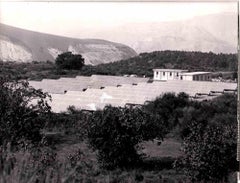 The First.Solar Panels - Vintage Photograph - 1980s