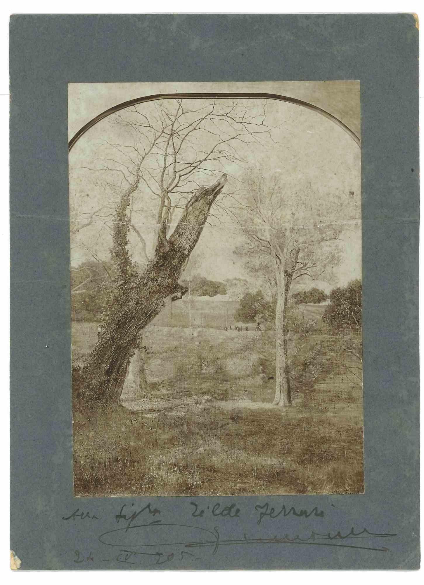 Unknown Portrait Photograph - The Forest - Vintage Photograph - Late 19th century