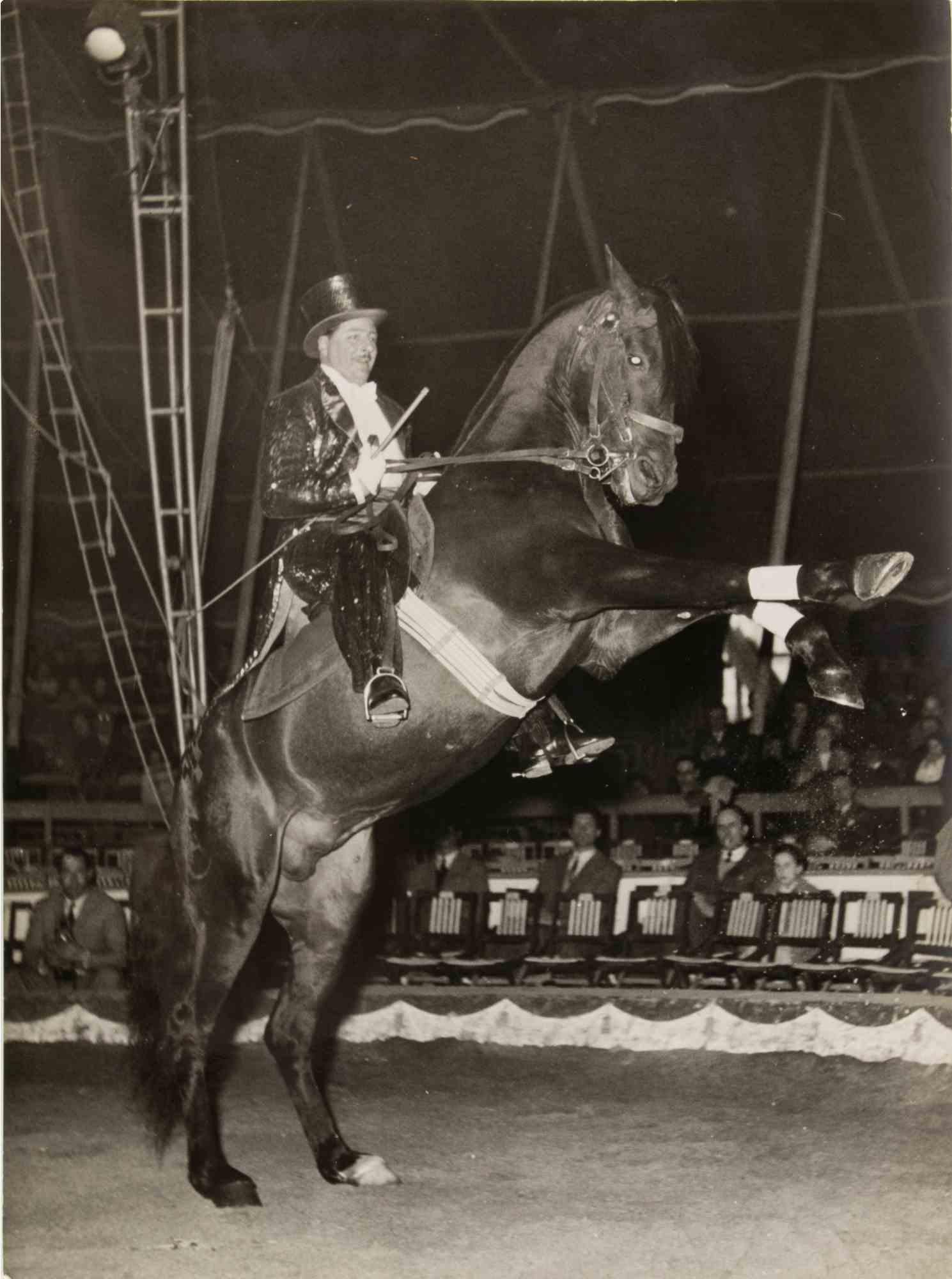 Unknown Figurative Photograph – The Horse Trainer – Vintage-Fotografie – 1950er Jahre