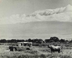 Die  Jagen  Safari -  Foto – 1964