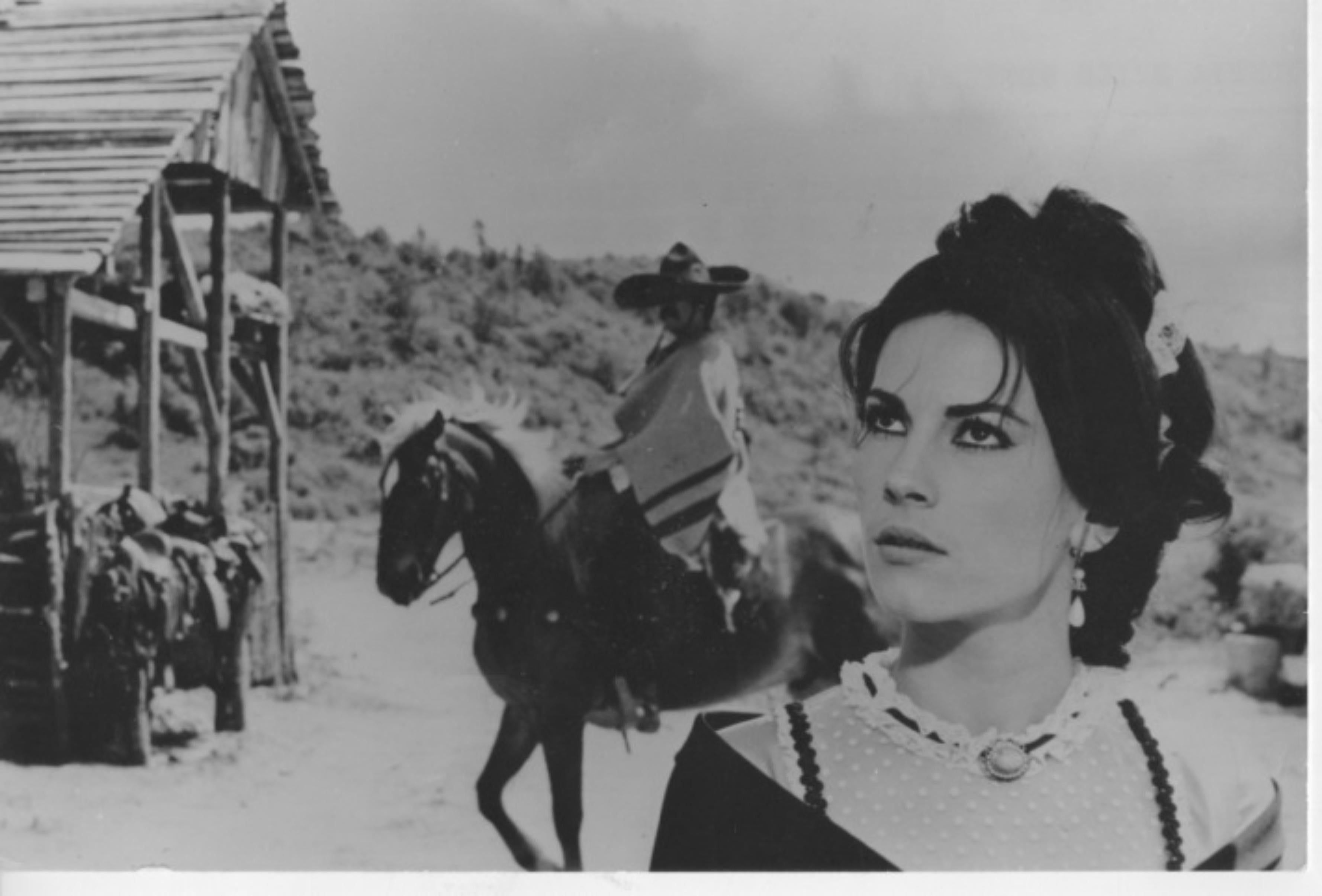 Portrait Photograph di Unknown - L'attrice italiana Nicoletta Machiavelli - Foto d'epoca - Anni '60