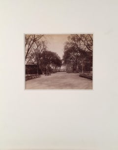 "The Mall", Central Park, New York City Photograph