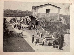 Les vieux jours - Photo d'intérieur - Début du 20e siècle