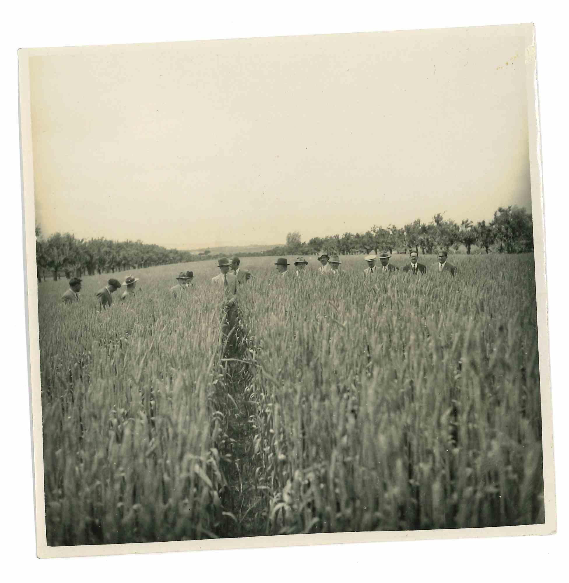 Unknown Portrait Photograph - The Old Days - Men in Field - Early 20th Century