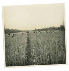 Los viejos tiempos - Hombres de campo - Principios del siglo XX