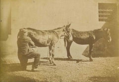 Das Foto „The Old Days“ – Tiere – Vintage-Foto – frühes 20. Jahrhundert