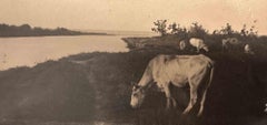 Die alten Tage  Foto – Herd – Anfang des 20. Jahrhunderts
