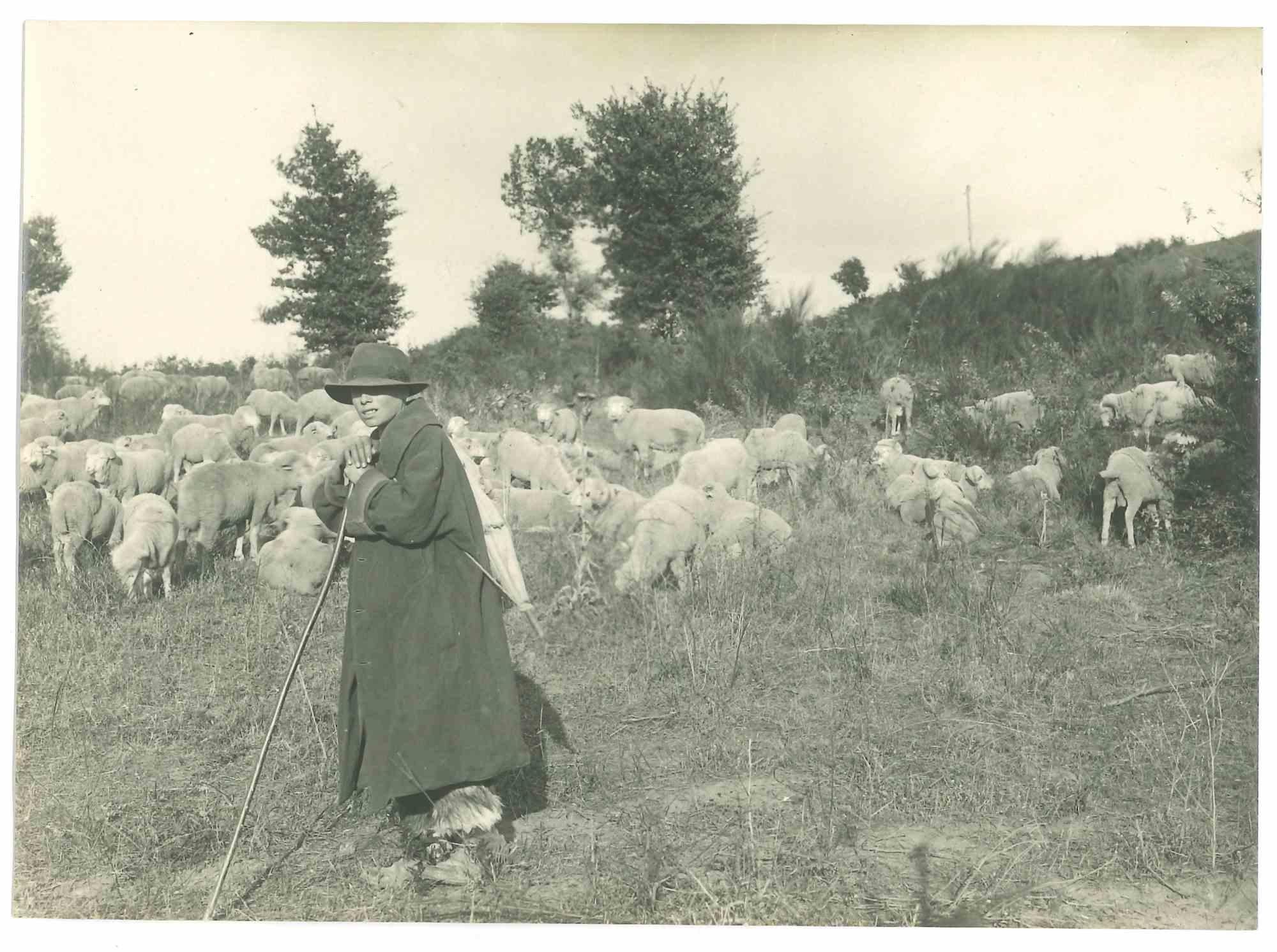 Unknown Landscape Photograph - The Old Days - Shepherd - Early 20th Century