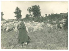 The Old Days - Shepherd - Early 20th Century