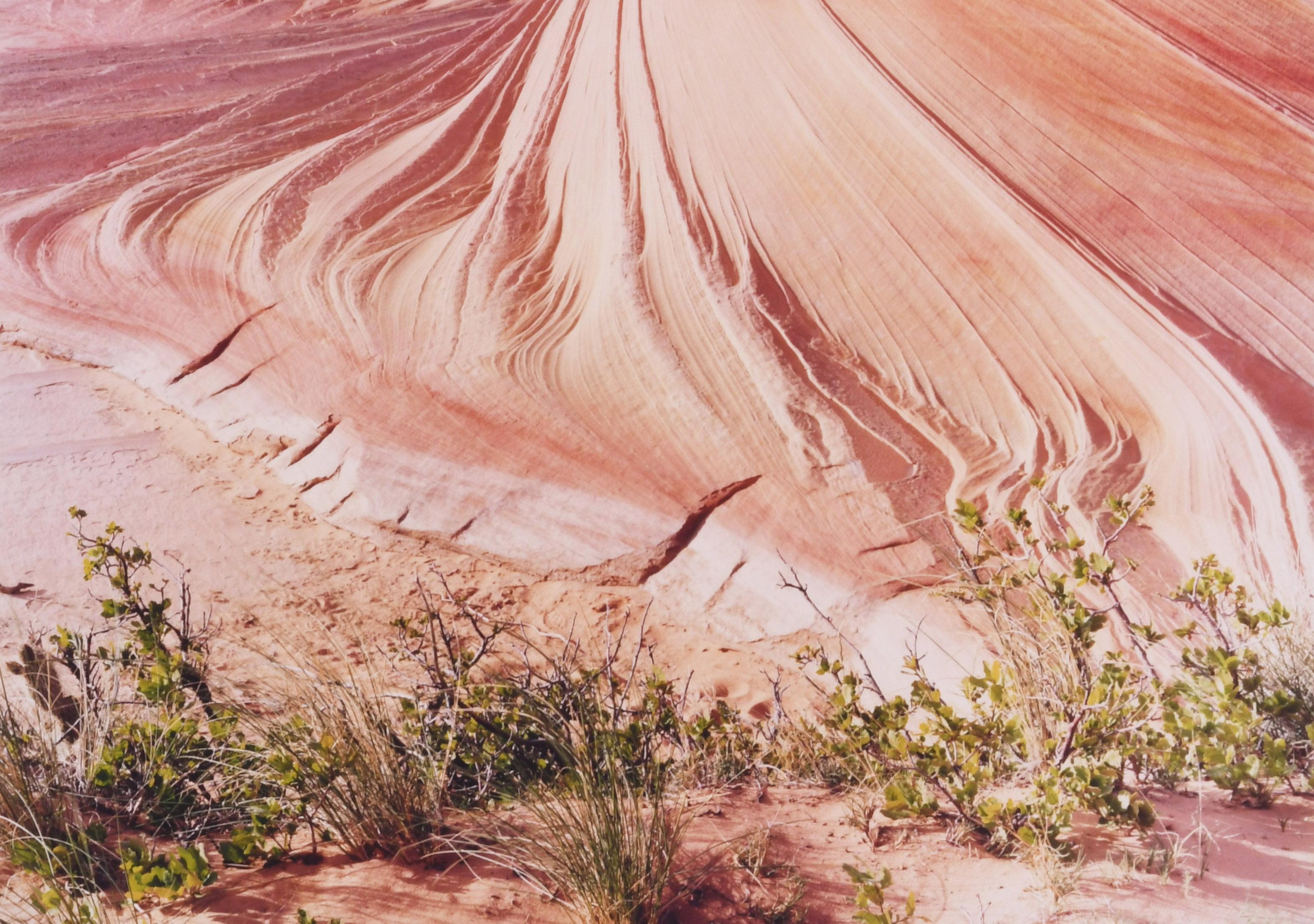 The Second Wave, Coyote Buttes, Paria Canyon-Vermilion Clifts Wilderness, AR - Brown Landscape Photograph by Unknown