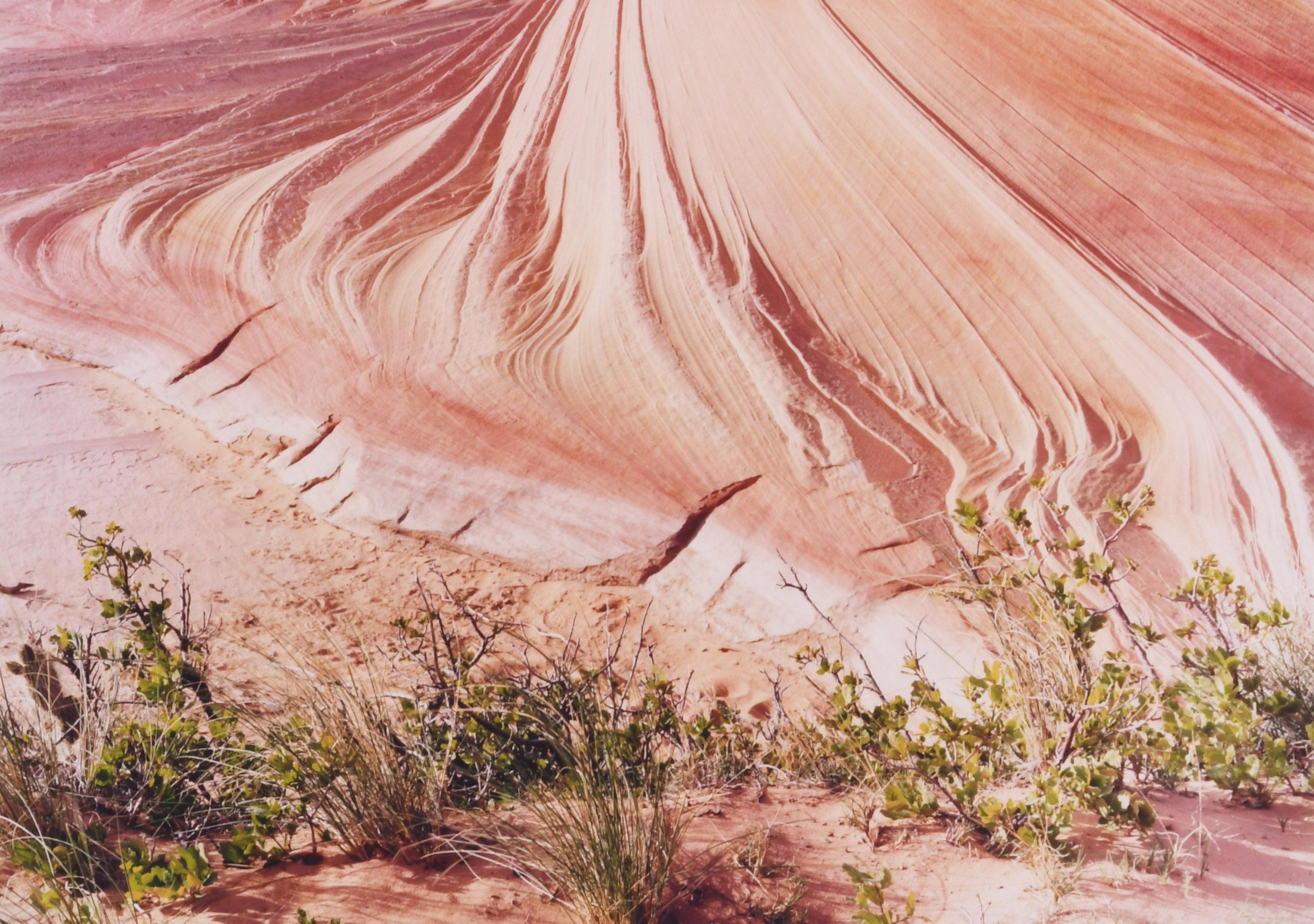 La deuxième vague, Coyote Buttes, Paria Canyon-Vermilion Clift Wilderness, AR - Marron Landscape Photograph par Unknown